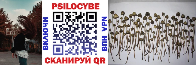 Псилоцибиновые грибы Psilocybine cubensis  купить наркоту  Протвино 